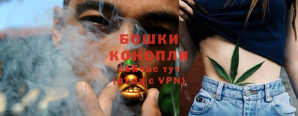 эйфоретик Гусиноозёрск