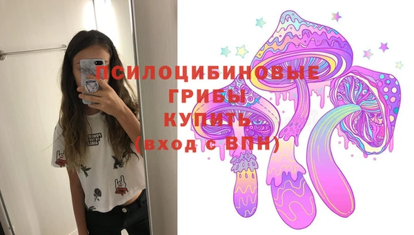прущая мука Гусь-Хрустальный