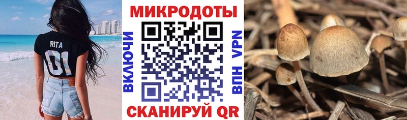 сайты даркнета как зайти  Няндома  Псилоцибиновые грибы Psilocybe  даркнет сайт 