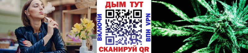 Конопля MAZAR  цены   Няндома 